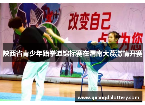 陕西省青少年跆拳道锦标赛在渭南大荔激情开赛